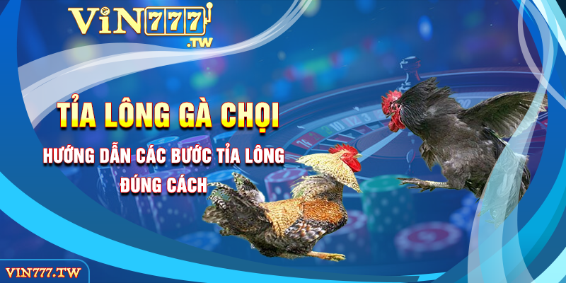 Hướng dẫn các bước tỉa lông đúng cách